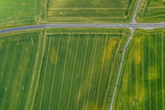 Prodej, Pole, Čistá