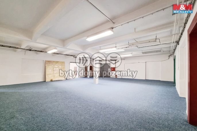 Pronájem, Obchod a služby, Ostrov