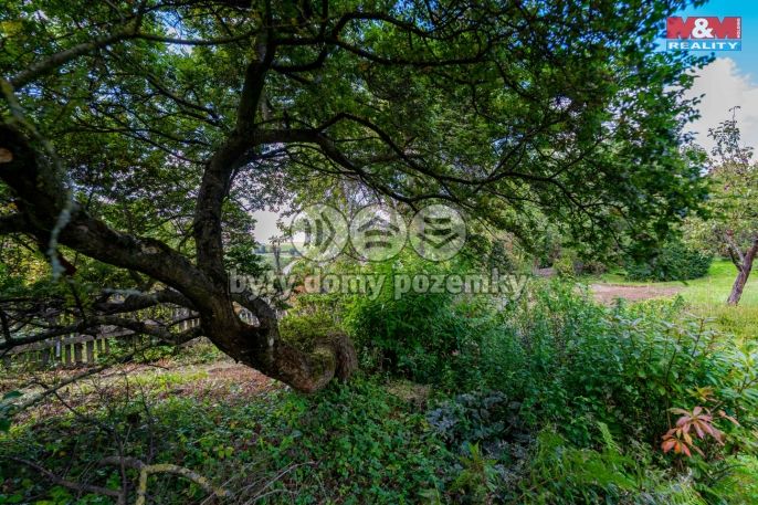 Prodej, Chata, Nové Město na Moravě