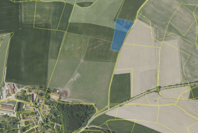 Prodej, Pole, Heřmaničky