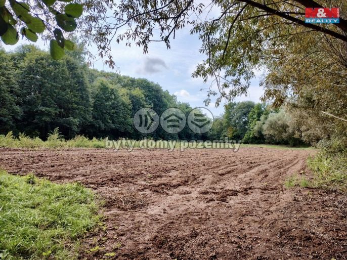 Prodej, Pole, Libořice