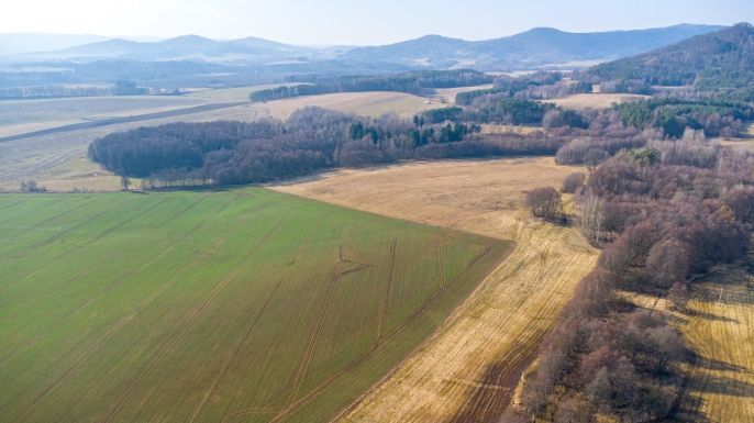 Prodej, Pole, Česká Lípa