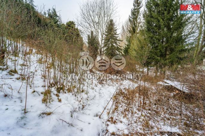 Prodej, Zahrada, Plasy