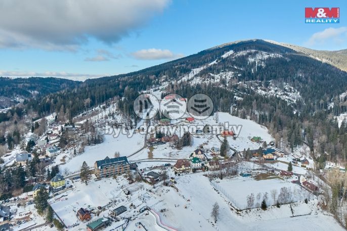 Prodej, Byt 1+kk, Janské Lázně