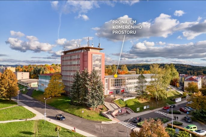 Pronájem, Obchodní objekt, Ostrov