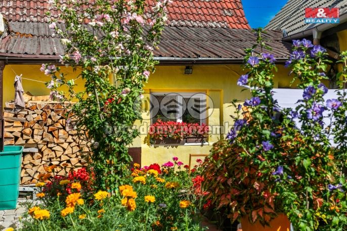 Prodej, Rodinný dům, Bitozeves