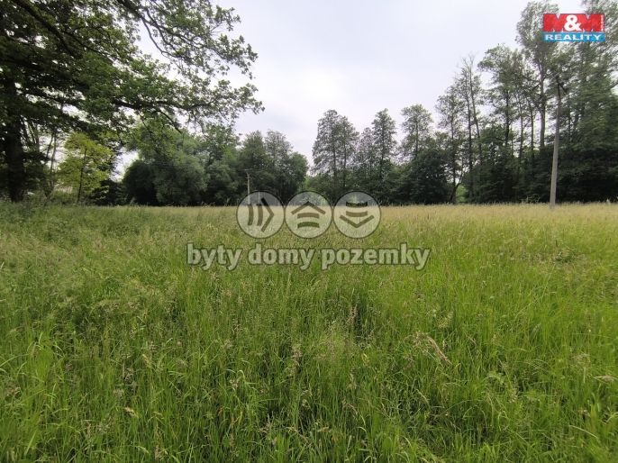 Prodej, Les, Střelské Hoštice