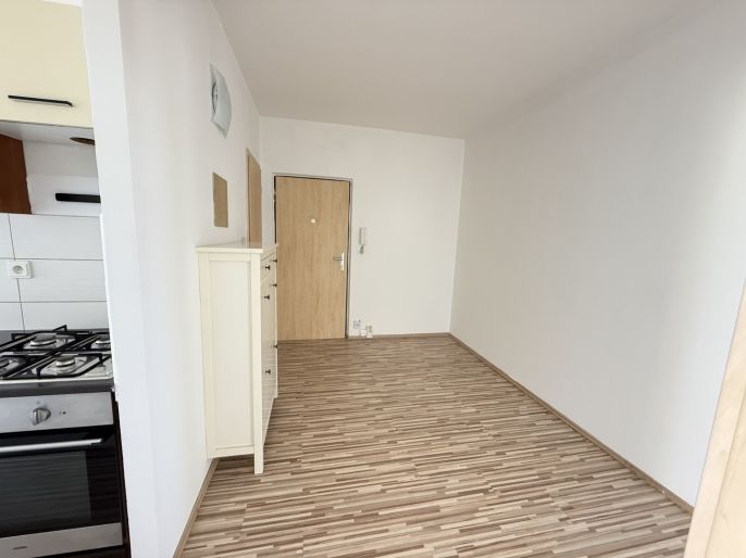 Pronájem, Byt 2+1, Louny