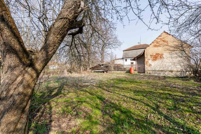 Prodej, Rodinný dům, Dešná