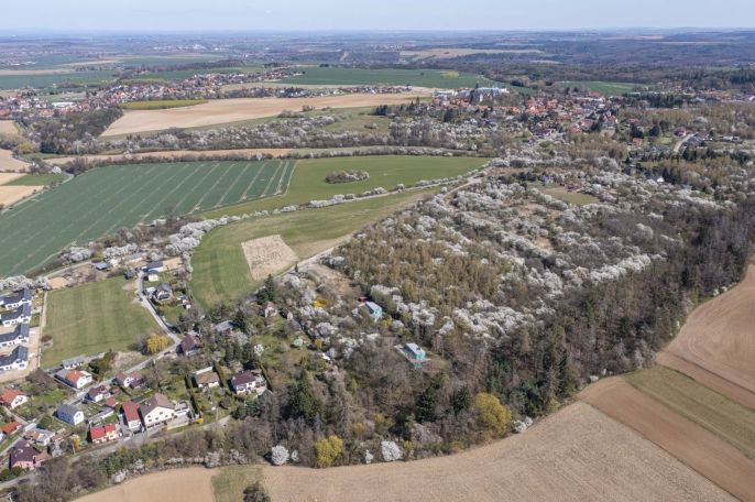 Prodej, Pozemek k bydlení, Škvorec