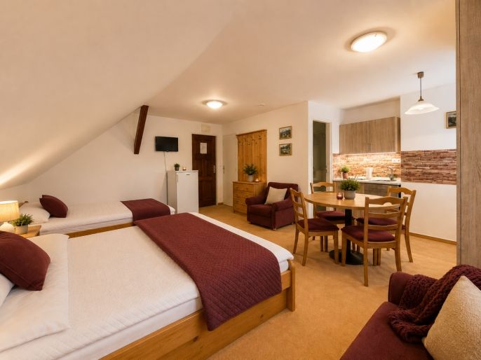 Prodej, Hotel, penzion, Nová Pec