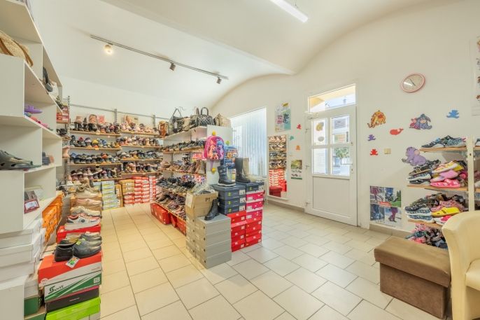 Pronájem, Obchod a služby, Slaný