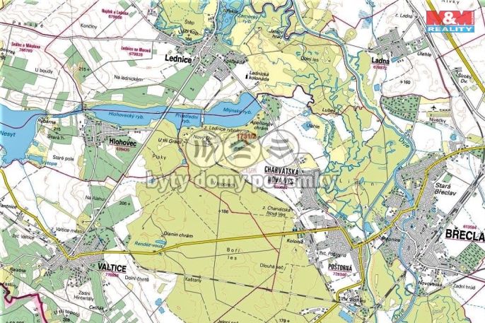 Prodej, Vinice, Břeclav