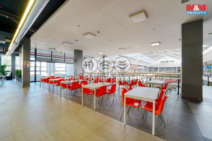 Pronájem, Restaurace, stravování, Plzeň