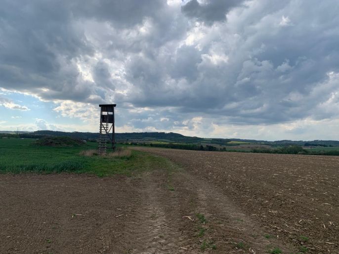 Prodej, Pole, Voděrady