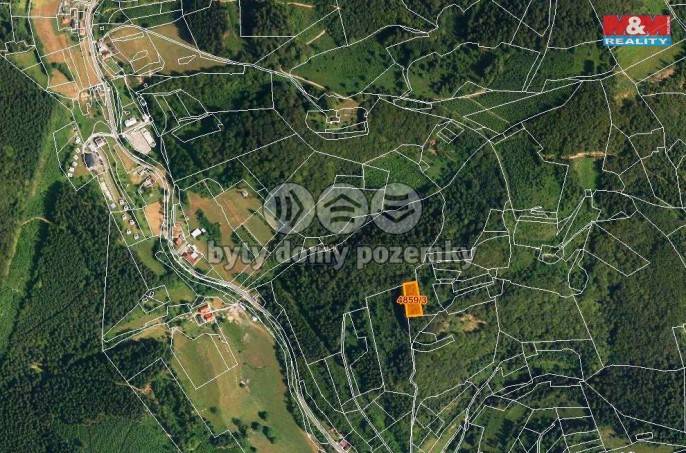 Prodej, Les, Halenkov