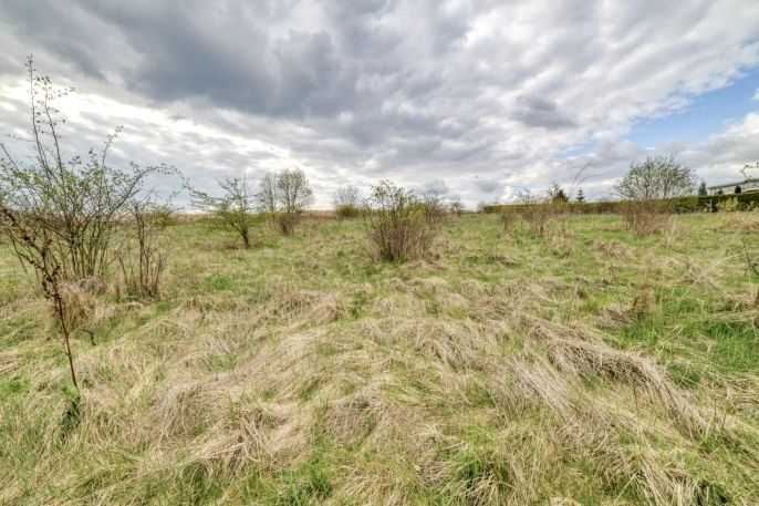 Prodej, Pozemek k bydlení, Františkovy Lázně