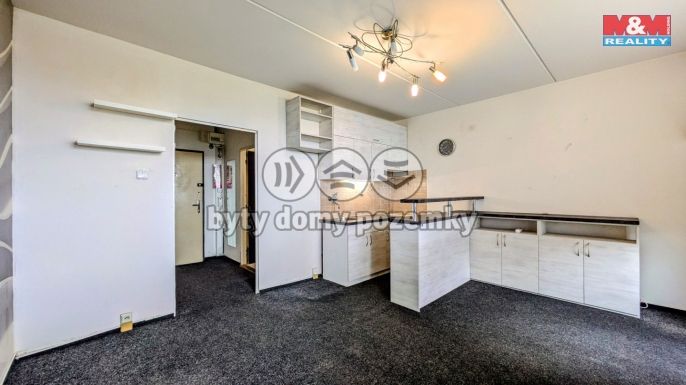 Prodej, Byt 1+kk, 28 m², Praha, Svídnická