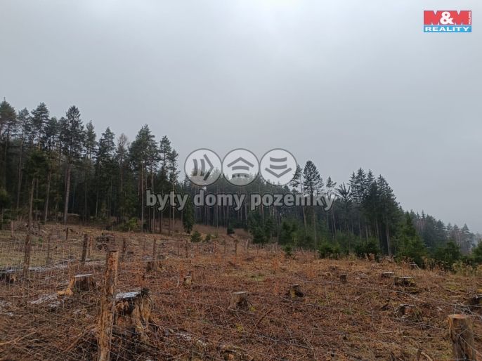 Prodej, Les, Vacovice