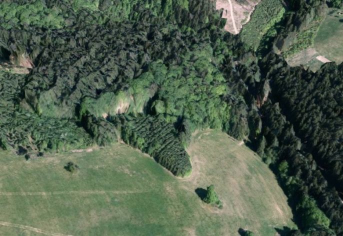 Prodej, Les, Valašská Senice