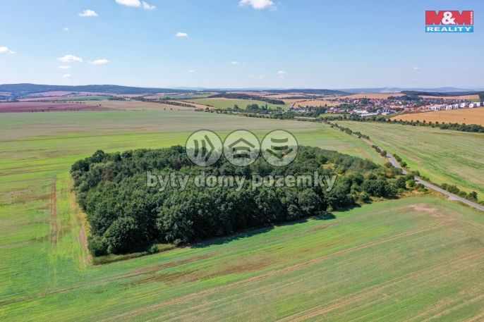 Prodej, Pole, Plzeň