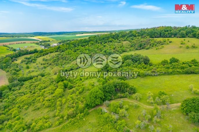 Prodej, Les, Chyňava