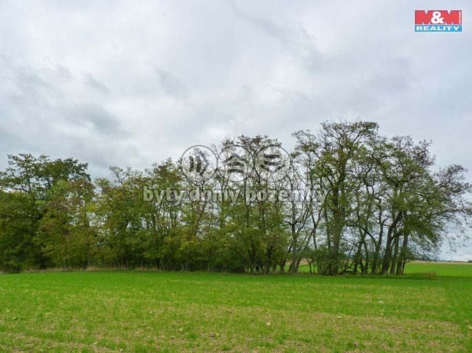 Prodej, Les, Drahobuz