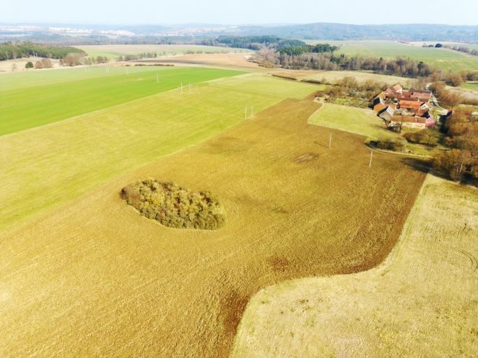 Prodej, Pole, Kladruby