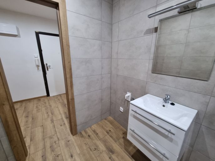 Pronájem, Byt 1+1, Ostrava