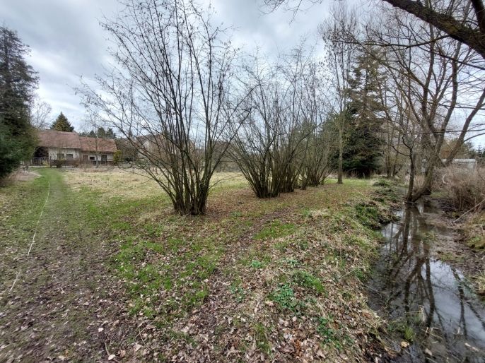 Prodej, Zahrada, Kořenice