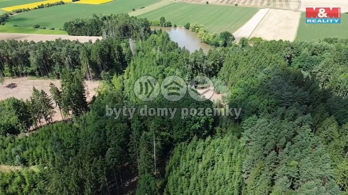 Prodej, Les, Opařany