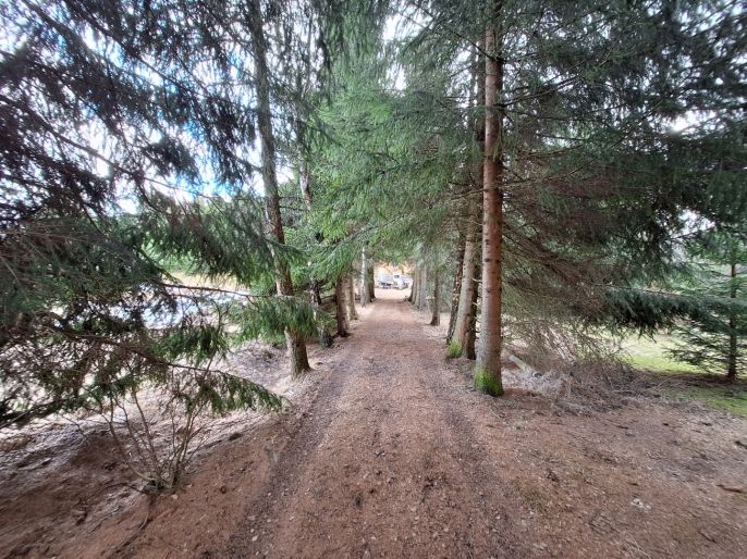 Prodej, Chata, Kalek