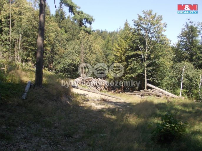 Prodej, Pozemek k bydlení, Pstruží