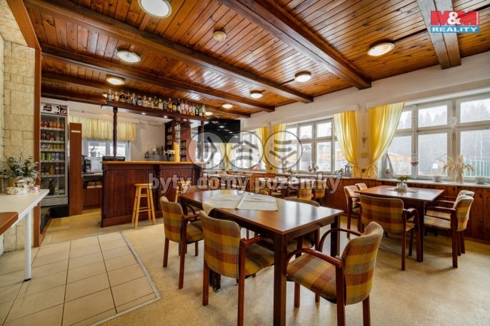 Prodej, Hotel, penzion, Bartošovice v Orlických horách