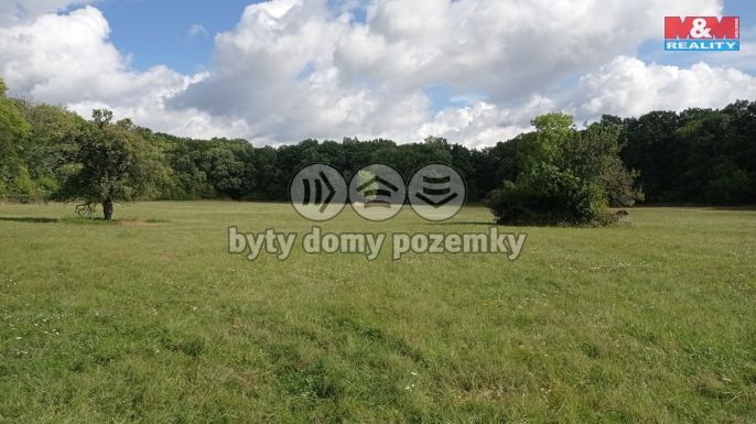 Prodej, Louka, Jenčice