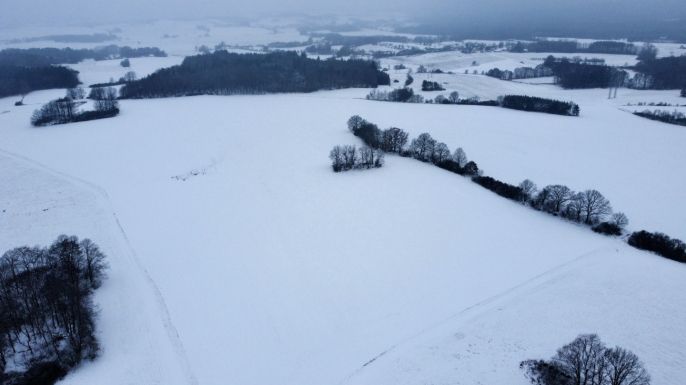 Prodej, Louka, Březí