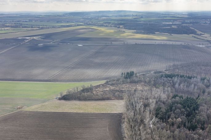 Prodej, Les, Bohuslavice