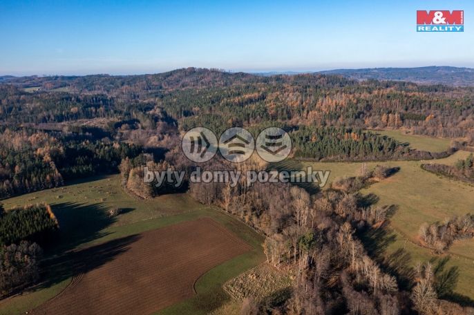 Prodej, Les, Nalžovské Hory