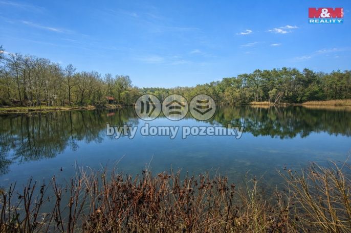 Prodej, Chata, Loučeň