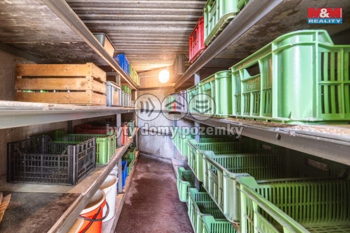 Prodej, Chalupa, Všemina