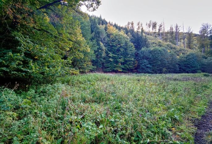 Prodej, Louka, Biskupice