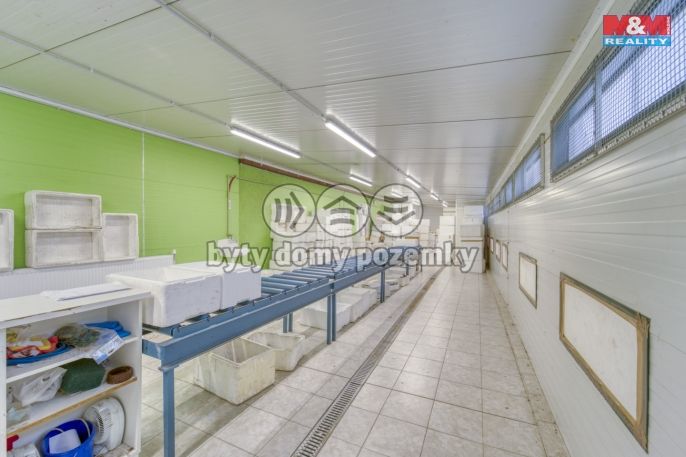 Prodej, Sklad, Lhůta