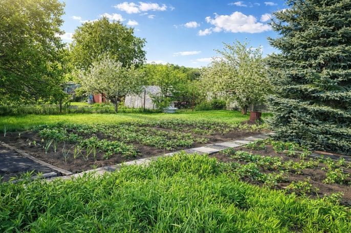 Prodej, Zahrada, Podbořany