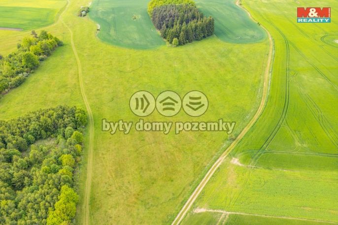 Prodej, Louka, Lešetice