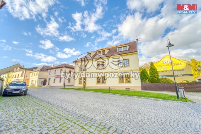 Pronájem, Obchod a služby, Bor