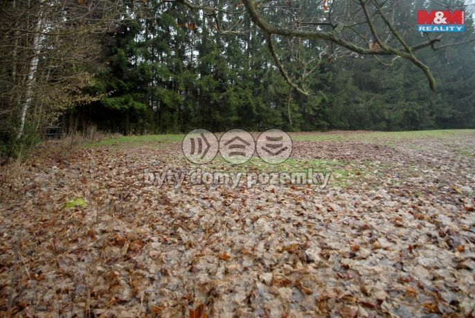 Prodej, Pole, Lomnice nad Popelkou