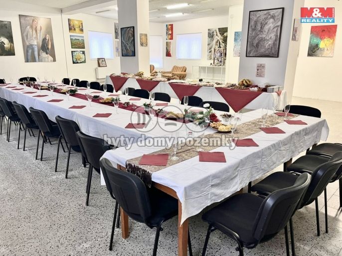 Pronájem, Obchod a služby, Louny