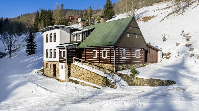 Prodej, Hotel, penzion, Paseky nad Jizerou