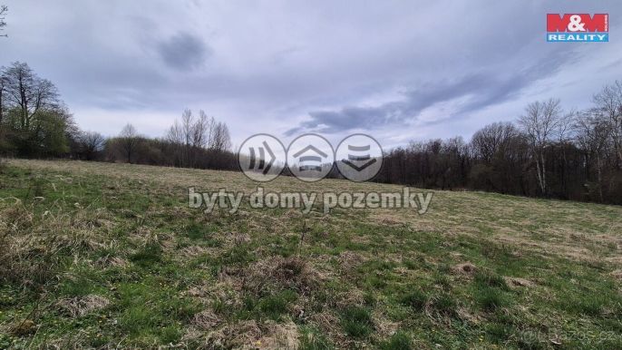 Prodej, Louka, Česká Kamenice