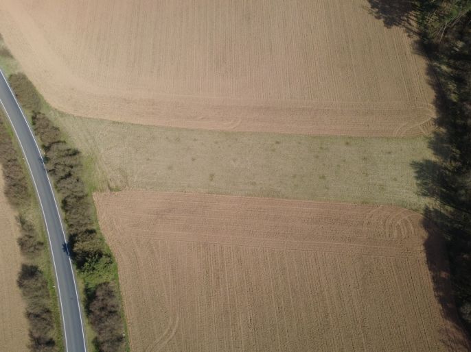 Prodej, Pole, Drevníky